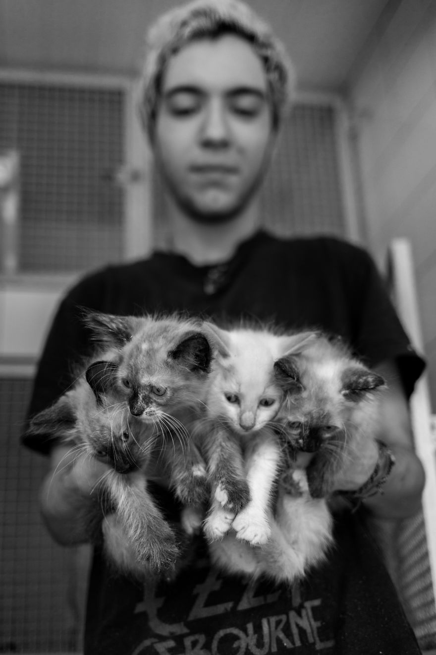 My Photo Series “Demystification Of Voluntary Work” Shows What Really Happens At An Animal Shelter My Photo Series “Demystification Of Voluntary Work” Shows What Really Happens At An Animal Shelter