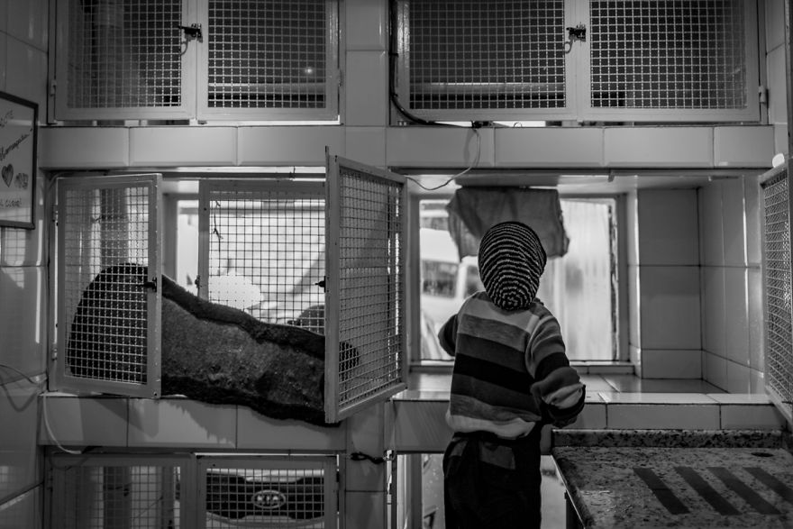 My Photo Series “Demystification Of Voluntary Work” Shows What Really Happens At An Animal Shelter My Photo Series “Demystification Of Voluntary Work” Shows What Really Happens At An Animal Shelter