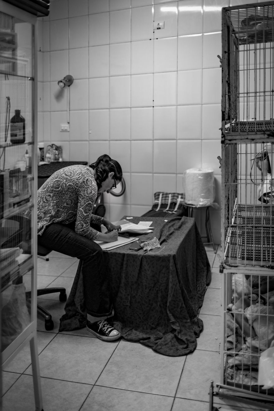 My Photo Series “Demystification Of Voluntary Work” Shows What Really Happens At An Animal Shelter My Photo Series “Demystification Of Voluntary Work” Shows What Really Happens At An Animal Shelter