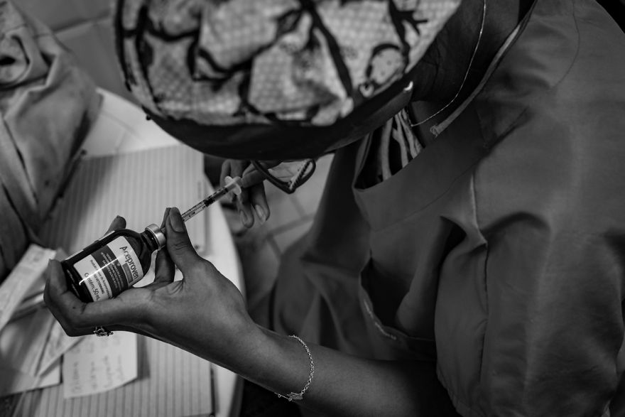 My Photo Series “Demystification Of Voluntary Work” Shows What Really Happens At An Animal Shelter My Photo Series “Demystification Of Voluntary Work” Shows What Really Happens At An Animal Shelter