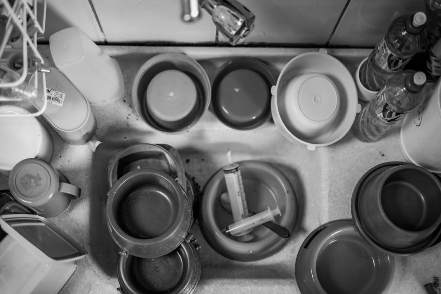 My Photo Series “Demystification Of Voluntary Work” Shows What Really Happens At An Animal Shelter My Photo Series “Demystification Of Voluntary Work” Shows What Really Happens At An Animal Shelter