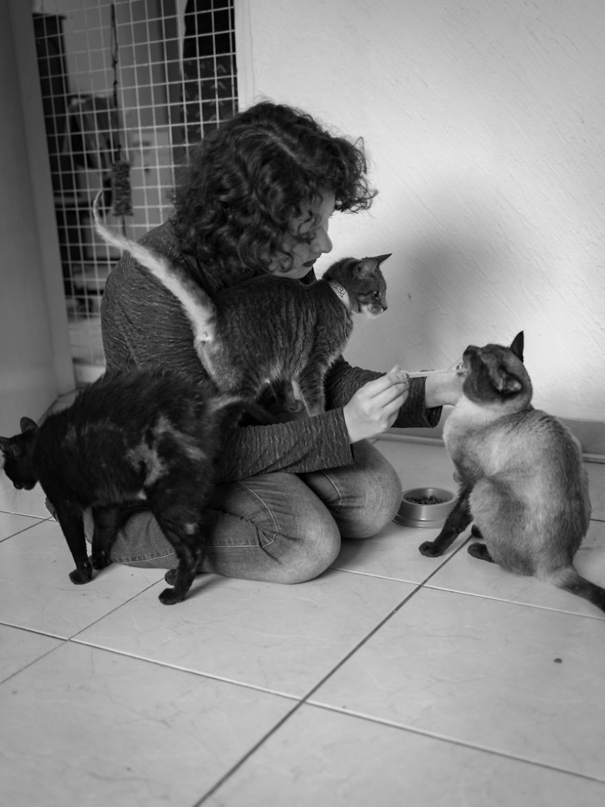 My Photo Series “Demystification Of Voluntary Work” Shows What Really Happens At An Animal Shelter My Photo Series “Demystification Of Voluntary Work” Shows What Really Happens At An Animal Shelter