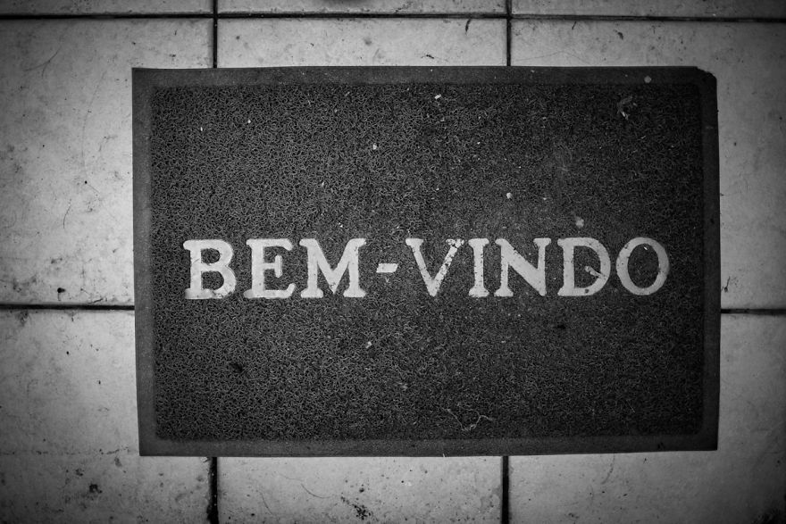 My Photo Series “Demystification Of Voluntary Work” Shows What Really Happens At An Animal Shelter My Photo Series “Demystification Of Voluntary Work” Shows What Really Happens At An Animal Shelter