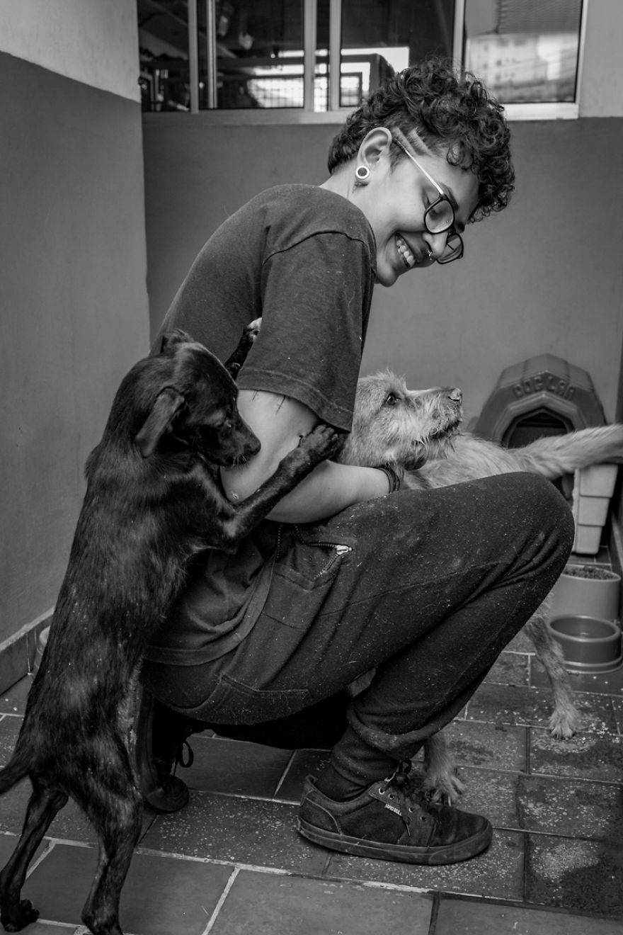 My Photo Series “Demystification Of Voluntary Work” Shows What Really Happens At An Animal Shelter