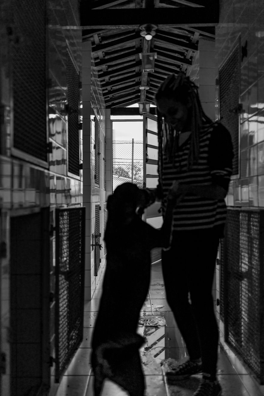 My Photo Series “Demystification Of Voluntary Work” Shows What Really Happens At An Animal Shelter My Photo Series “Demystification Of Voluntary Work” Shows What Really Happens At An Animal Shelter