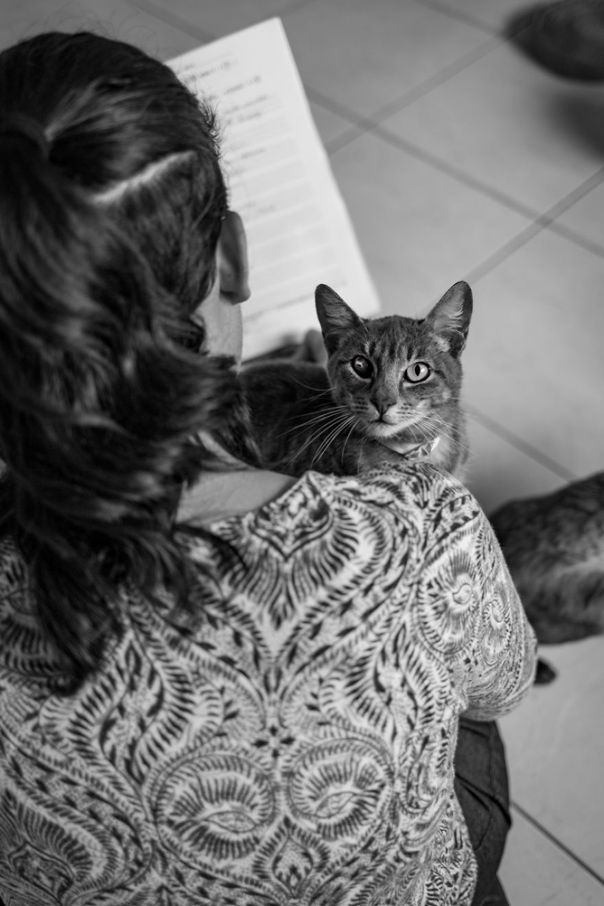 My Photo Series “Demystification Of Voluntary Work” Shows What Really Happens At An Animal Shelter My Photo Series “Demystification Of Voluntary Work” Shows What Really Happens At An Animal Shelter