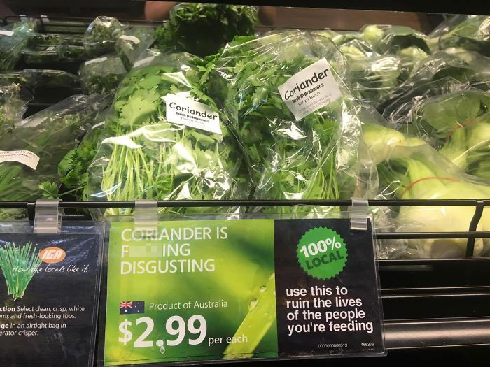 I Hate Coriander