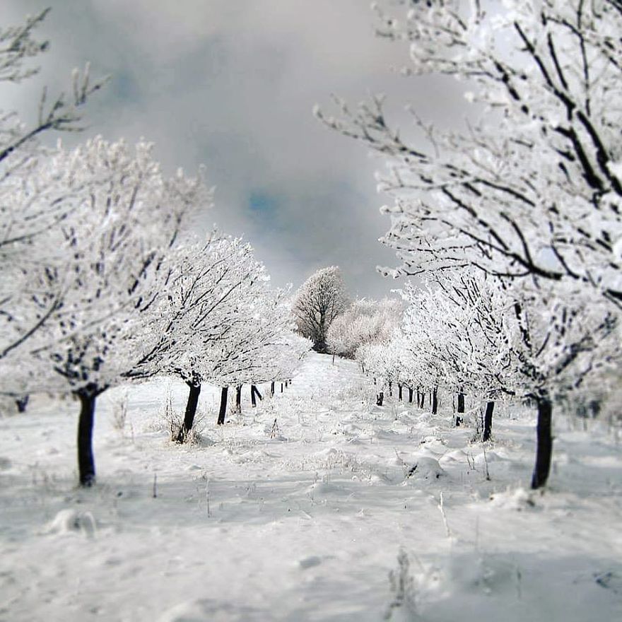 I Photographed The Romanian Countryside