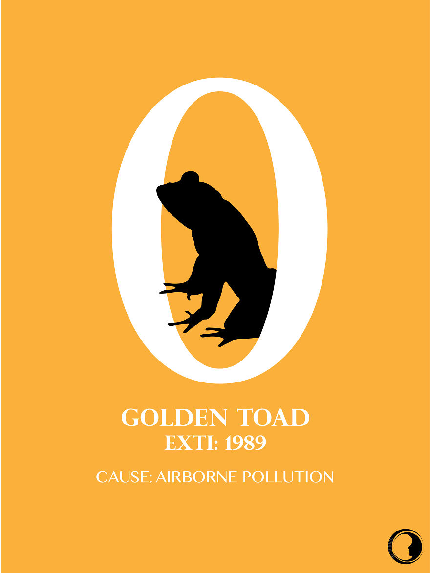 In 1 Average Human Life Span, How Many Species Are Declared Extinct? See Here. In 1 Average Human Life Span, How Many Species Are Declared Extinct? See Here.