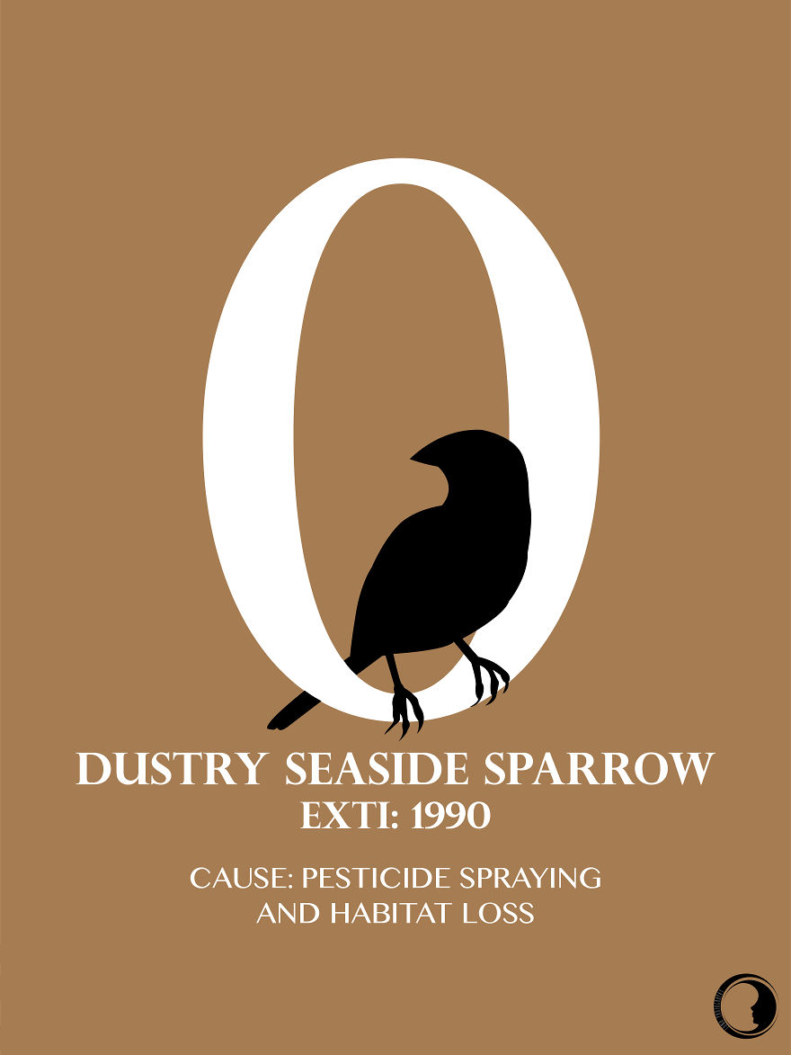 In 1 Average Human Life Span, How Many Species Are Declared Extinct? See Here.