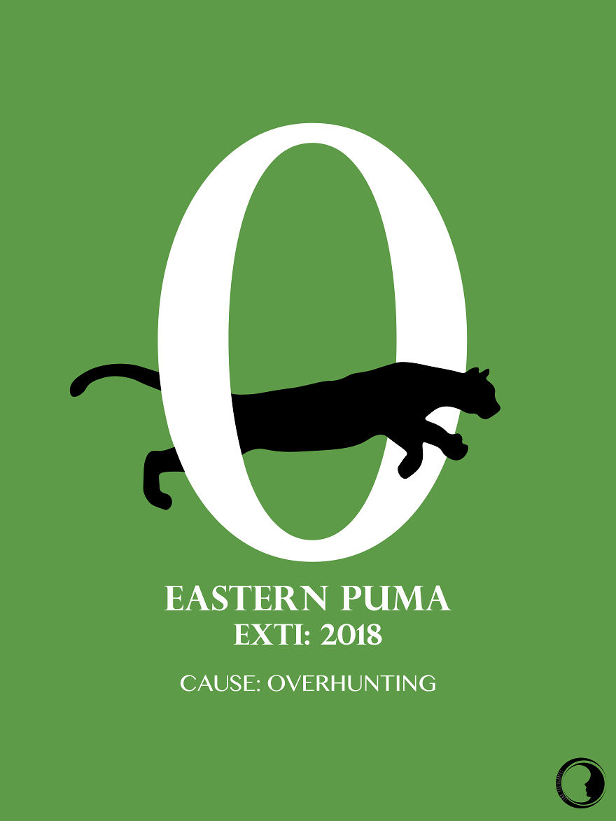 In 1 Average Human Life Span, How Many Species Are Declared Extinct? See Here. In 1 Average Human Life Span, How Many Species Are Declared Extinct? See Here.