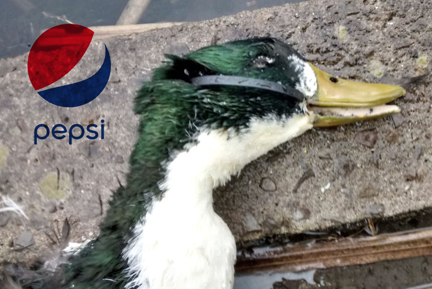 I Design Ads Of Major Companies That Show The Harsh Reality (Warning: Upsetting Content) I Design Ads Of Major Companies That Show The Harsh Reality (Warning: Upsetting Content)