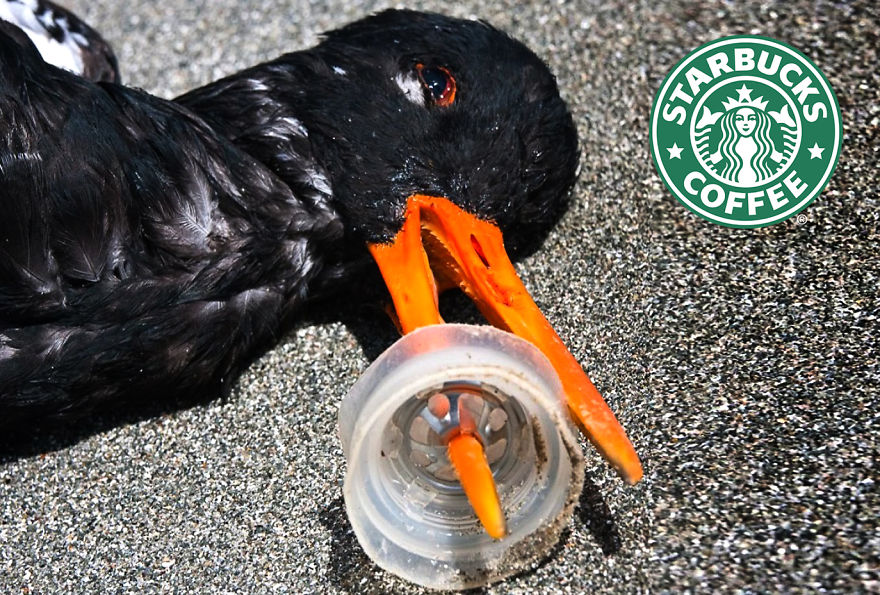 I Design Ads Of Major Companies That Show The Harsh Reality (Warning: Upsetting Content)