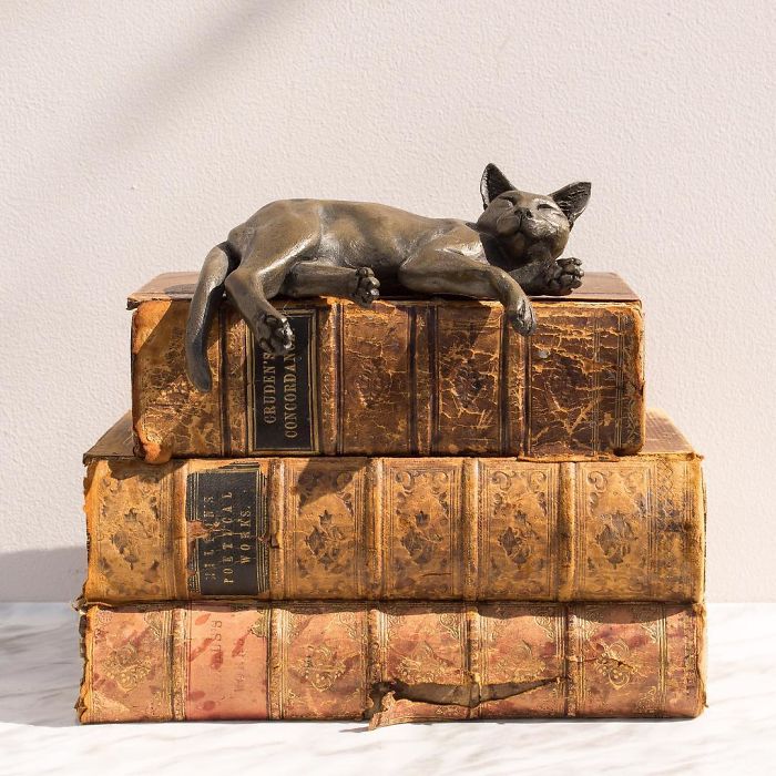 I Take Beautiful Photos Of My Book Collection To Spread Some Joy And Colour