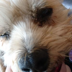 shannonmcelroy avatar