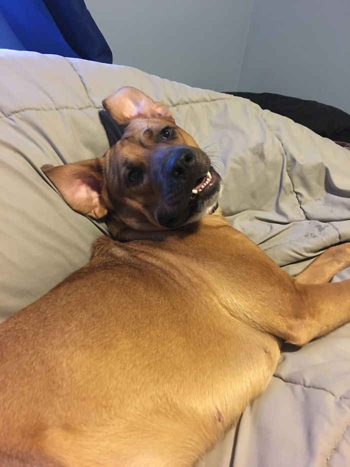 Oh! Was This Your Spot