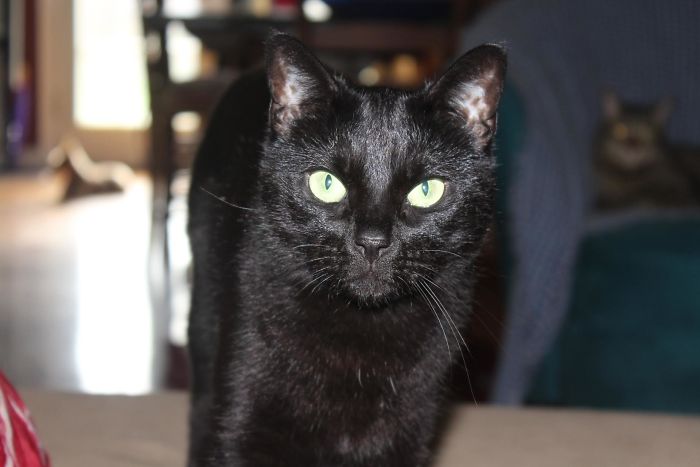 They Are Both Behind Me Aren't They?