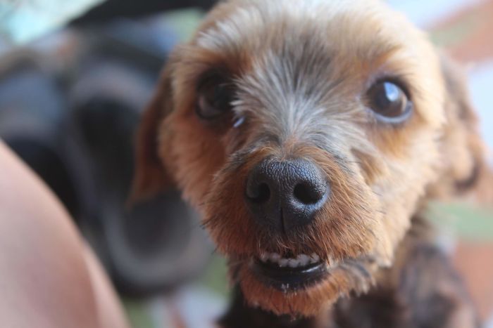 Do I Have Something In My Teeth?