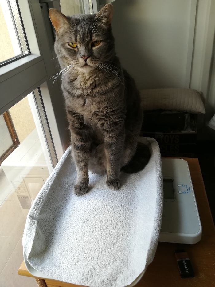 Touchy About His Weight...