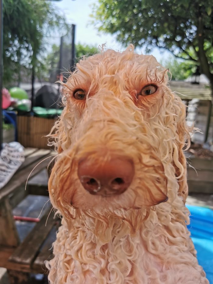 Wet Doodle With Lashes On Fleek😂