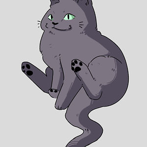 mouza-althumairi avatar