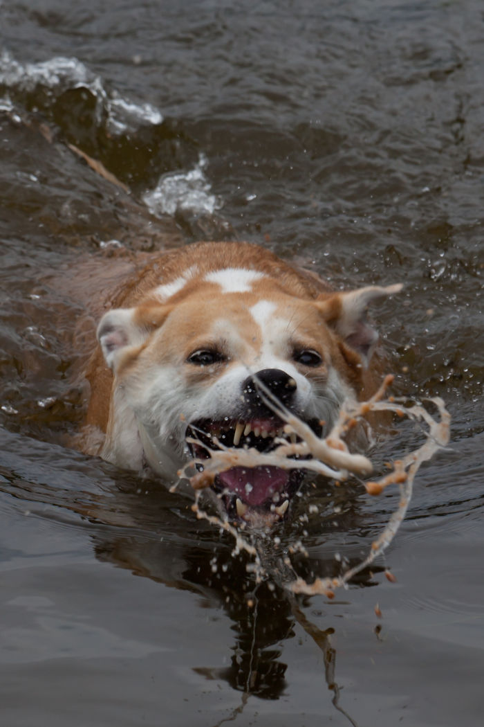 A Projectile Vomit Frozen In Time