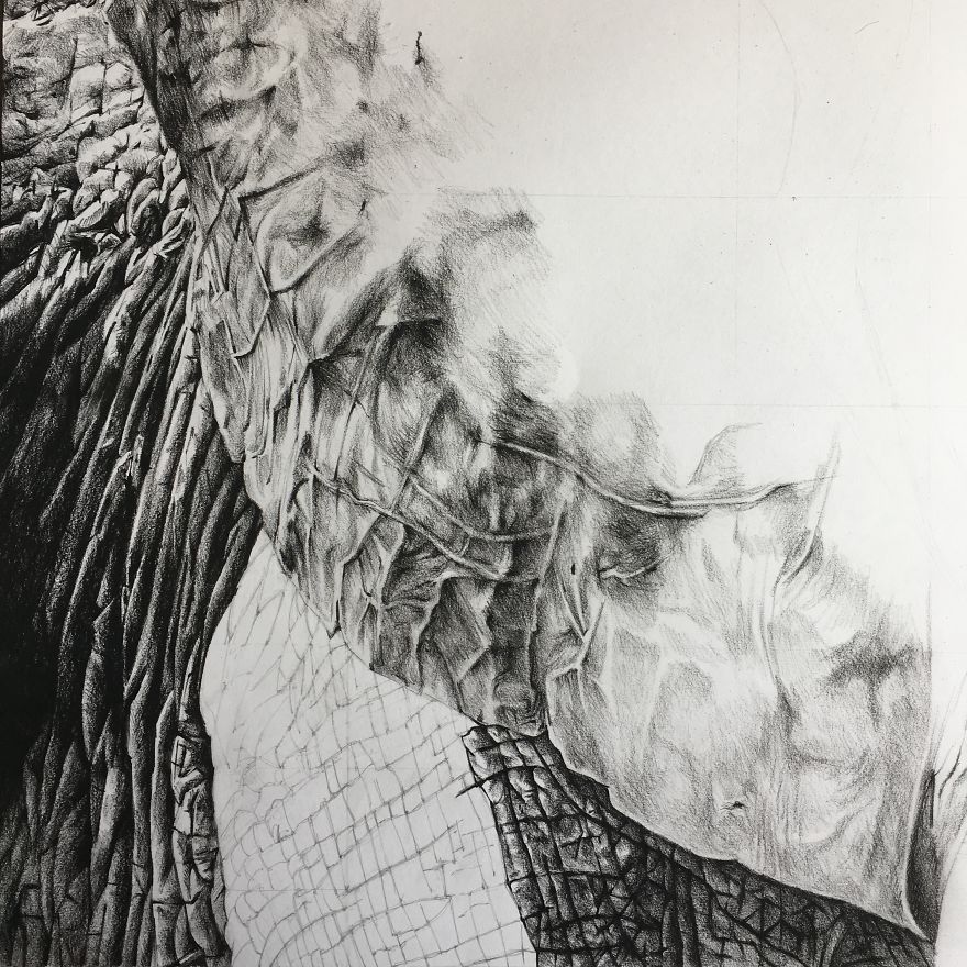 30 Hours Later,
this Is My New Elephant Drawing :-)