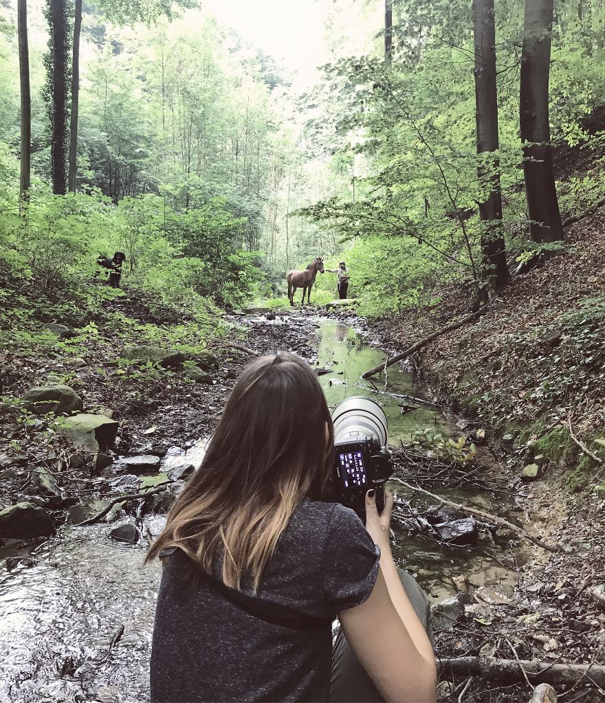 I Photographed A Zorse – The Hybrid Most People Don't Think Exists (10 Photos) I Photographed A Zorse – The Hybrid Most People Don't Think Exists (10 Photos)