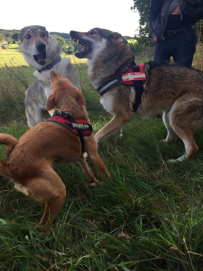 Pandora, Vivi And Mila Having A Great Time