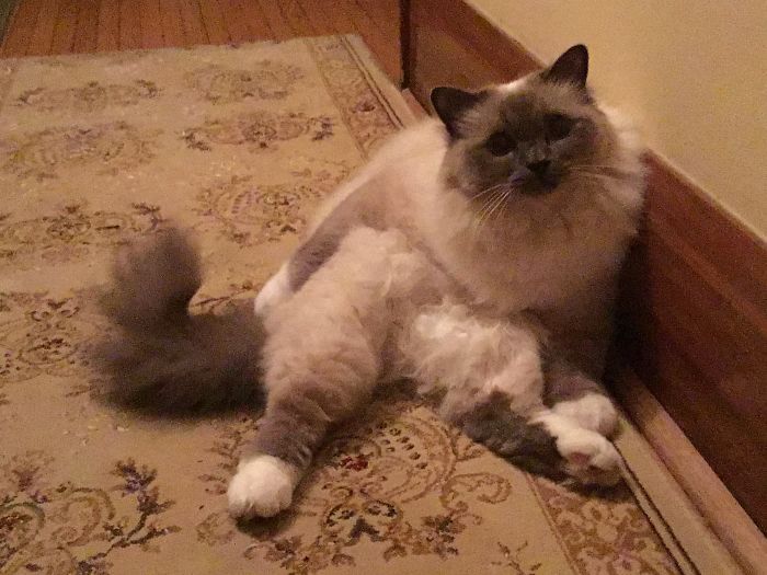 Get That Camera Out Of My Face....im Chillin