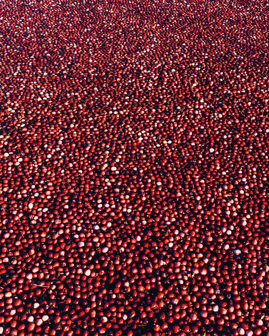 Strange Red Field Near Vancouver Strange Red Field Near Vancouver