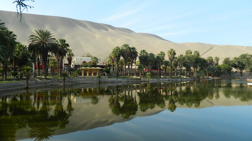 An Oasis In The Desert