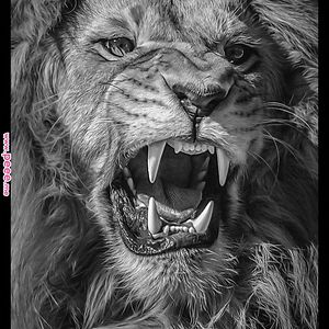 xeofirexeochange avatar