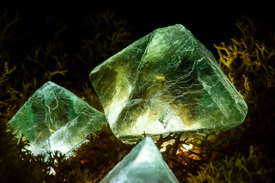 Our Crystal Lamps Look Like They're From Another Planet So We Imagined How We Harvest Them
