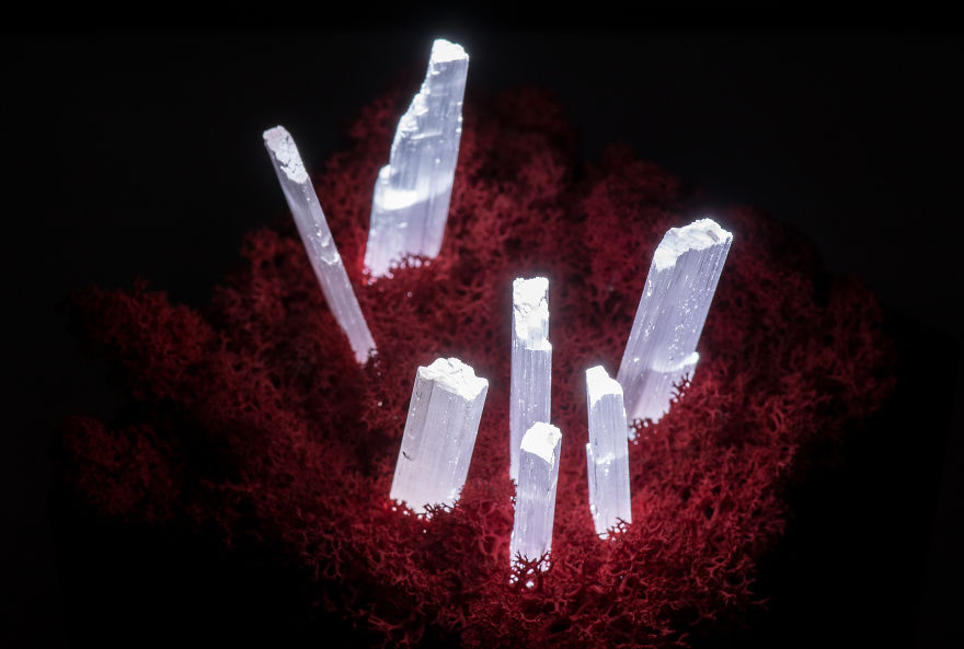 Our Crystal Lamps Look Like They're From Another Planet So We Imagined How We Harvest Them