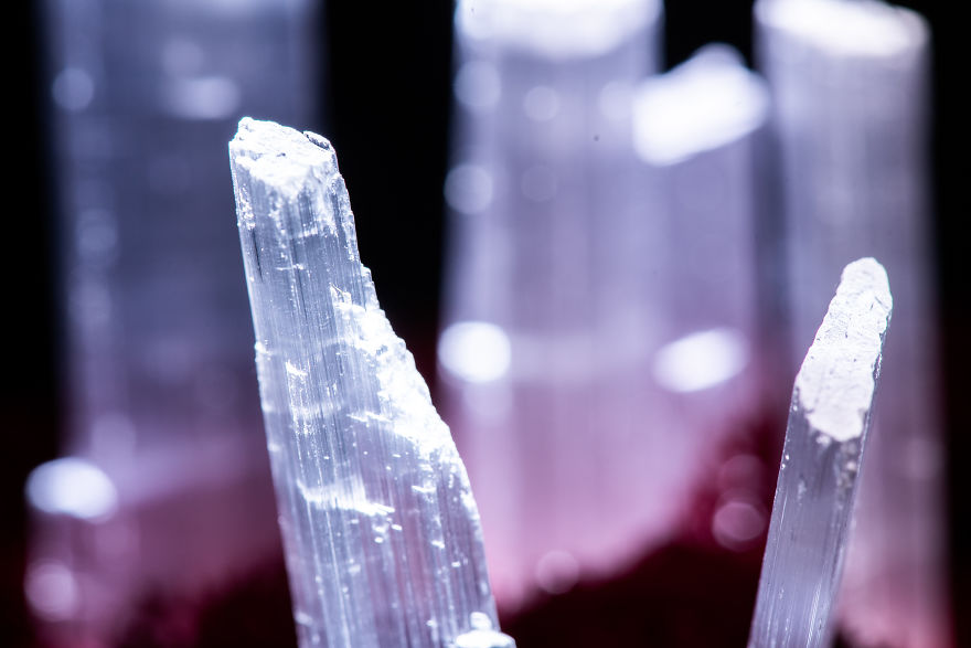 Our Crystal Lamps Look Like They're From Another Planet So We Imagined How We Harvest Them Our Crystal Lamps Look Like They're From Another Planet So We Imagined How We Harvest Them