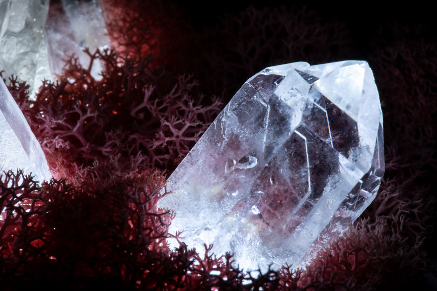 Our Crystal Lamps Look Like They're From Another Planet So We Imagined How We Harvest Them