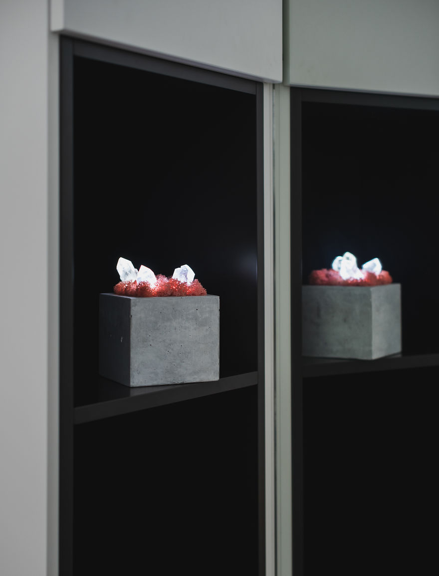 Our Crystal Lamps Look Like They're From Another Planet So We Imagined How We Harvest Them