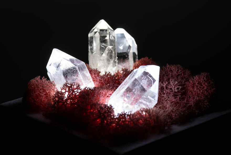 Our Crystal Lamps Look Like They're From Another Planet So We Imagined How We Harvest Them Our Crystal Lamps Look Like They're From Another Planet So We Imagined How We Harvest Them