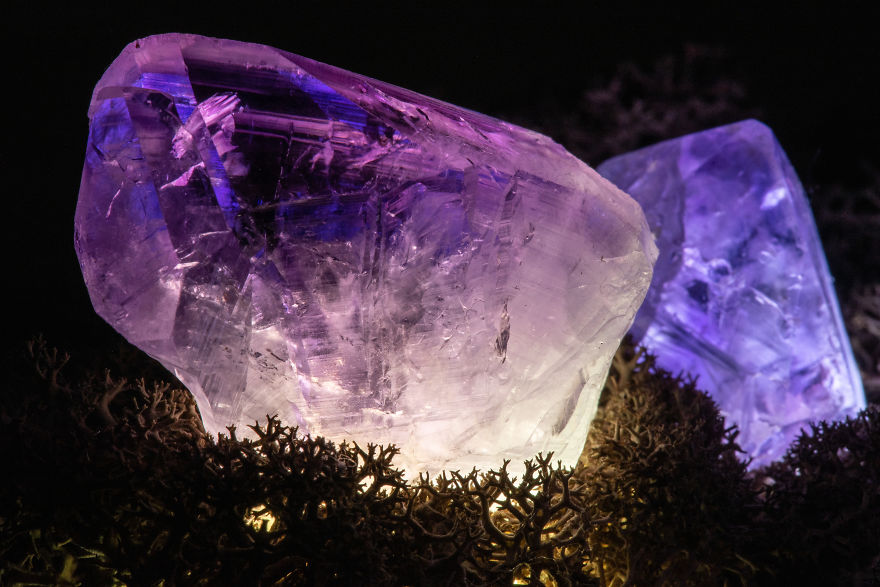 Our Crystal Lamps Look Like They're From Another Planet So We Imagined How We Harvest Them Our Crystal Lamps Look Like They're From Another Planet So We Imagined How We Harvest Them