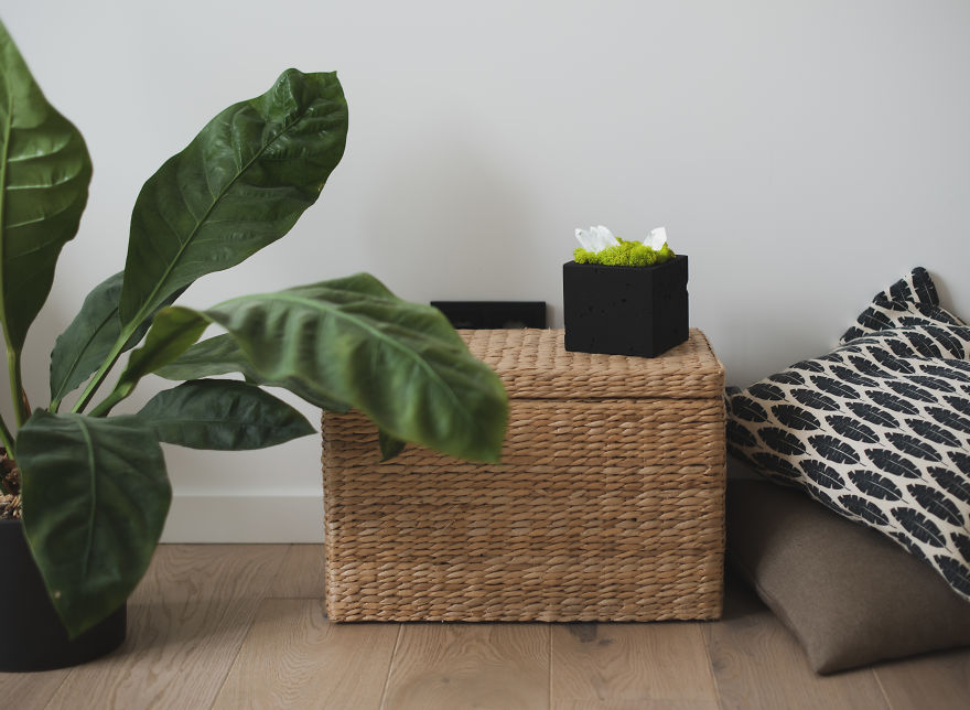 Our Crystal Lamps Look Like They're From Another Planet So We Imagined How We Harvest Them