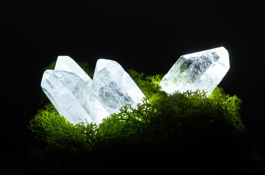 Our Crystal Lamps Look Like They're From Another Planet So We Imagined How We Harvest Them Our Crystal Lamps Look Like They're From Another Planet So We Imagined How We Harvest Them