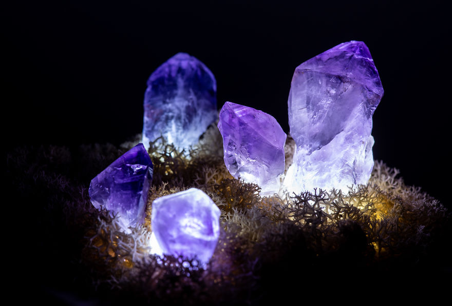 Our Crystal Lamps Look Like They're From Another Planet So We Imagined How We Harvest Them Our Crystal Lamps Look Like They're From Another Planet So We Imagined How We Harvest Them