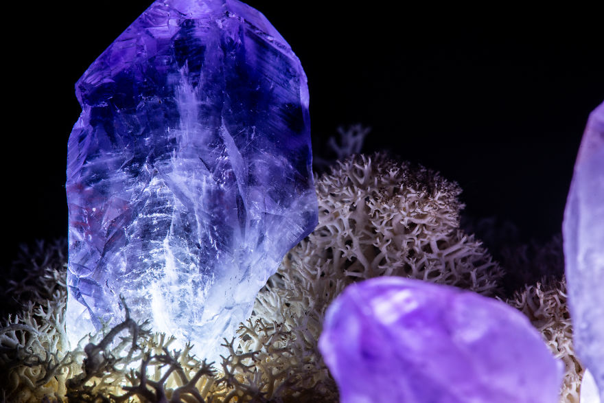 Our Crystal Lamps Look Like They're From Another Planet So We Imagined How We Harvest Them Our Crystal Lamps Look Like They're From Another Planet So We Imagined How We Harvest Them