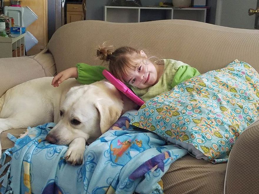 Our Labrador Dog "Hero" Saved Our Daughter Sadie's Life!