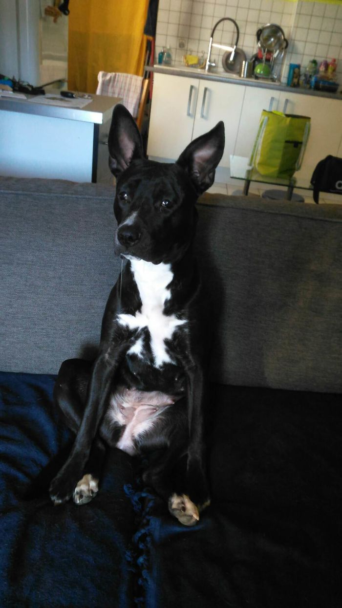 Kuma Acting Dumb When She's Being Asked If She's The Culprit ^^