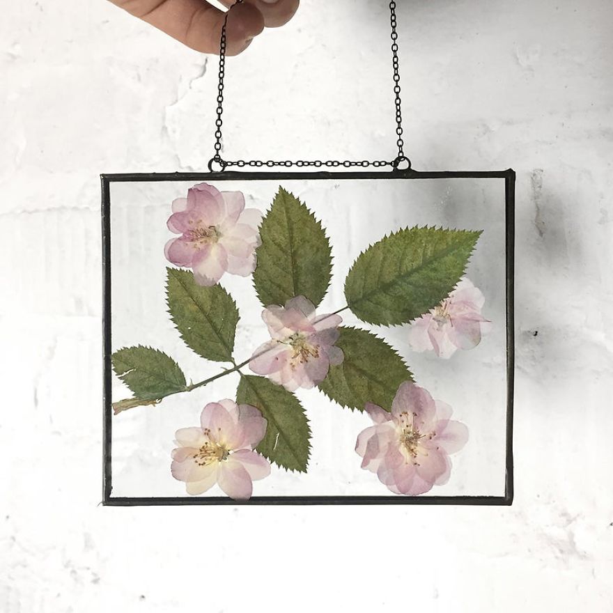 I Quit My Job To Follow My Passion Of Delicate Framed Herbariums I Quit My Job To Follow My Passion Of Delicate Framed Herbariums