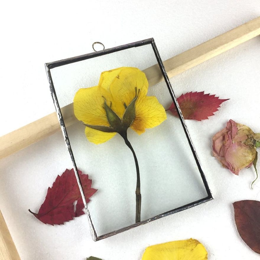I Quit My Job To Follow My Passion Of Delicate Framed Herbariums