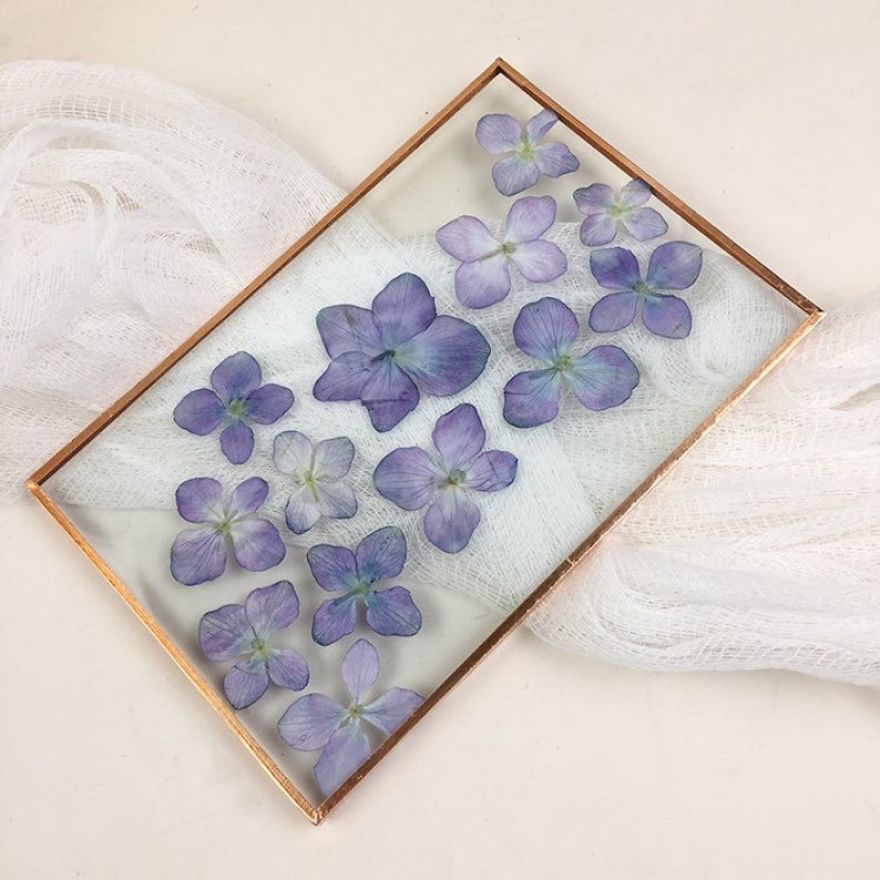 I Quit My Job To Follow My Passion Of Delicate Framed Herbariums I Quit My Job To Follow My Passion Of Delicate Framed Herbariums