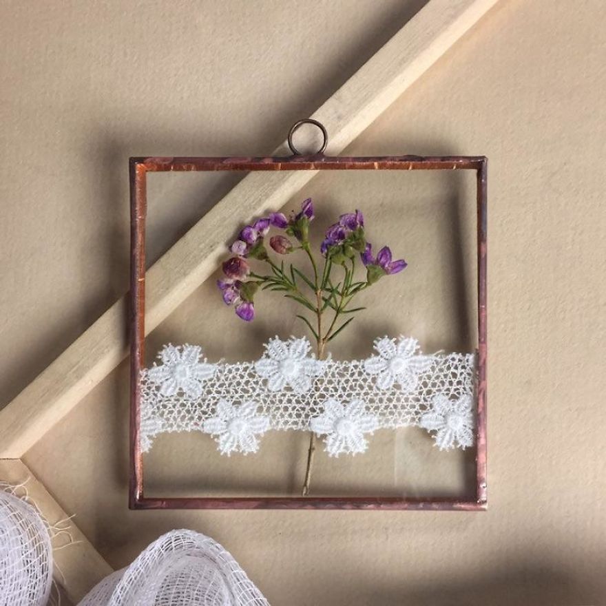 I Quit My Job To Follow My Passion Of Delicate Framed Herbariums I Quit My Job To Follow My Passion Of Delicate Framed Herbariums